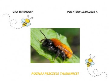Zaproszenie na Święto Pszczoły do Plichtowa 2019, 
